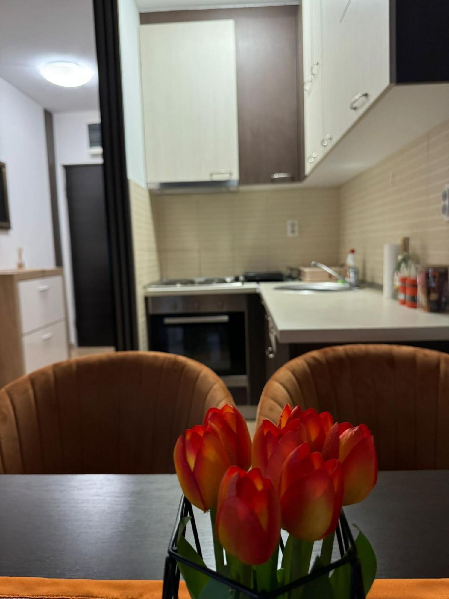 Ferienwohnung Stan Na Dan Aurora Požarevac Exterior foto
