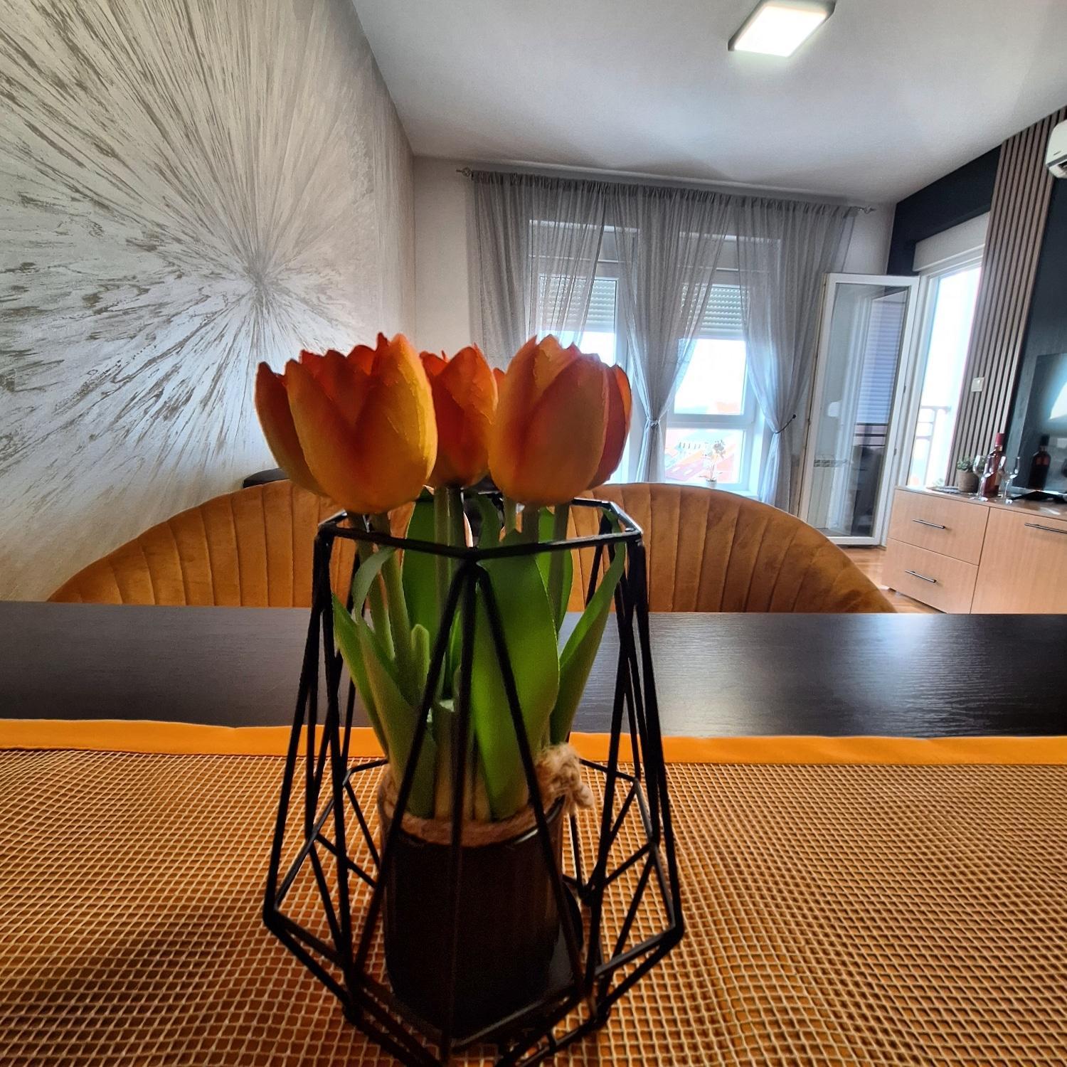 Ferienwohnung Stan Na Dan Aurora Požarevac Exterior foto