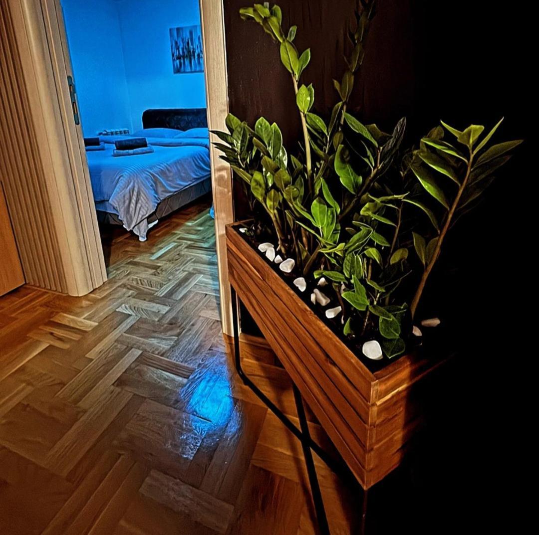 Ferienwohnung Stan Na Dan Aurora Požarevac Exterior foto