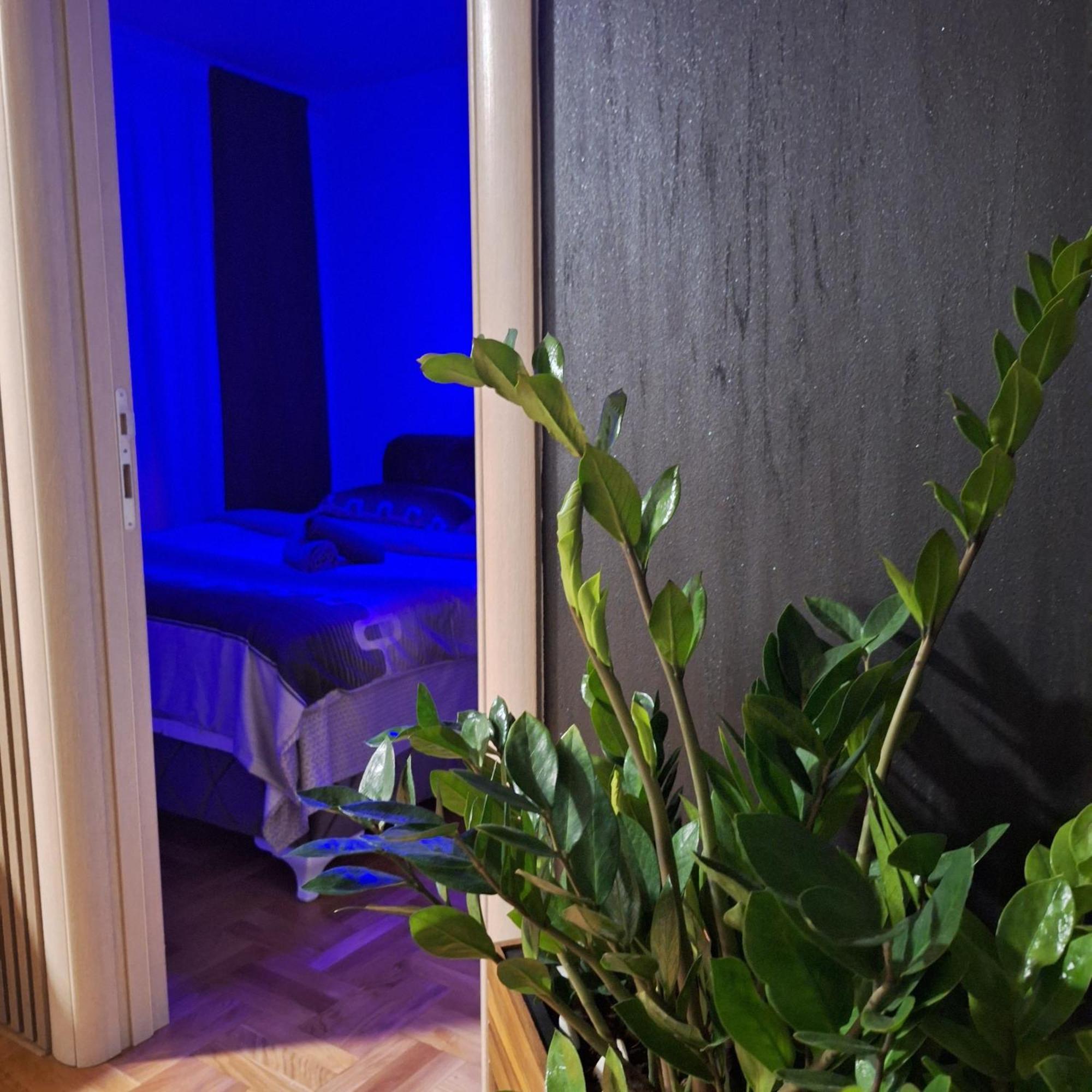 Ferienwohnung Stan Na Dan Aurora Požarevac Exterior foto